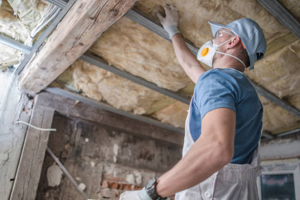 Best Energy Efficiency Solutions in Comstock Park, MI